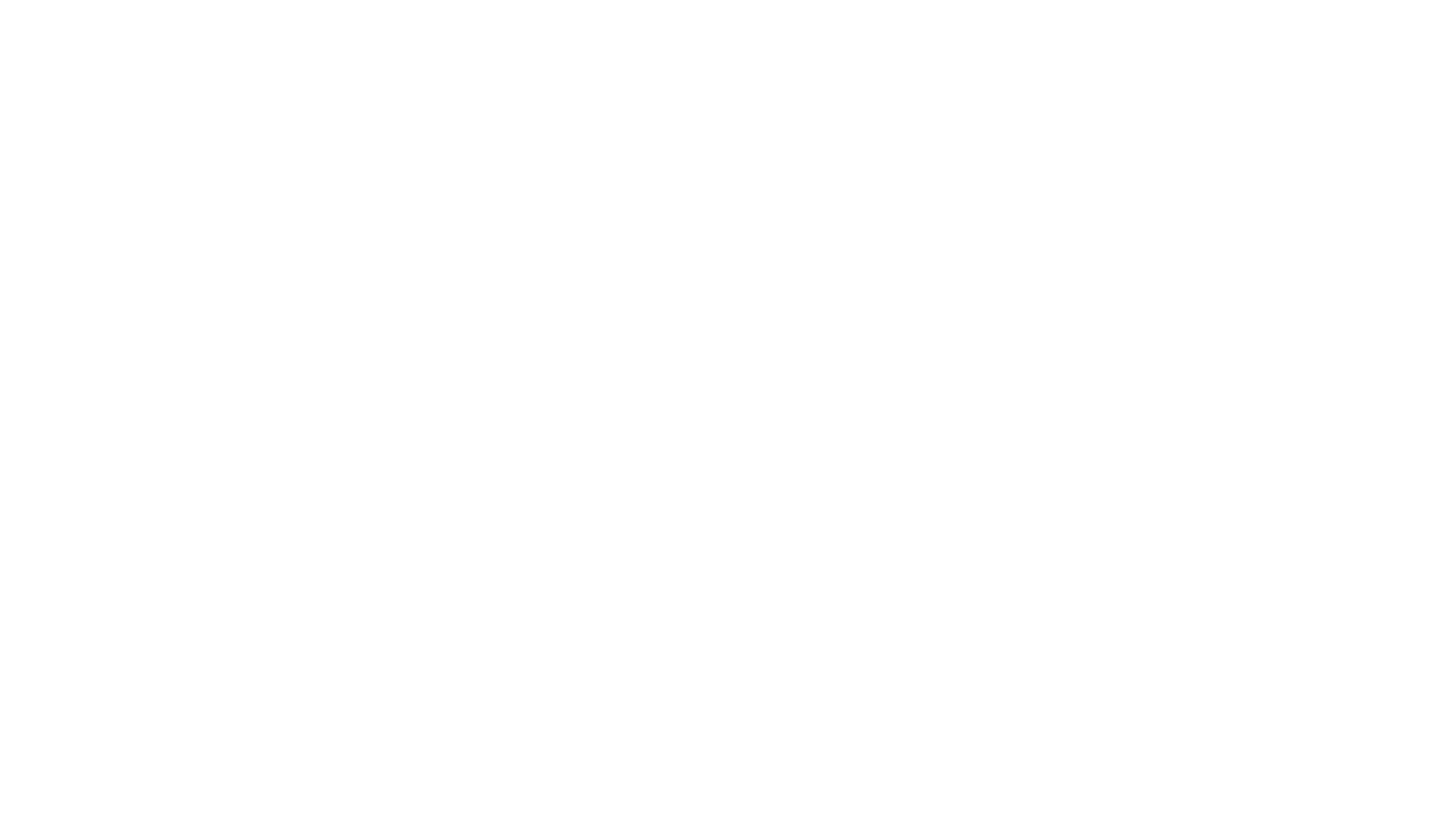 White Logo 3
